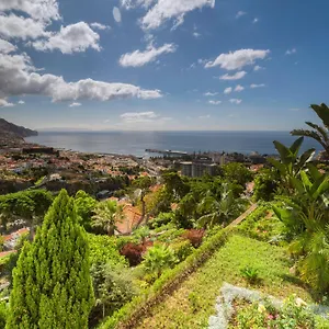 https://d-apartment-funchal-madeira-9050-453.madeira-islandshotels.com